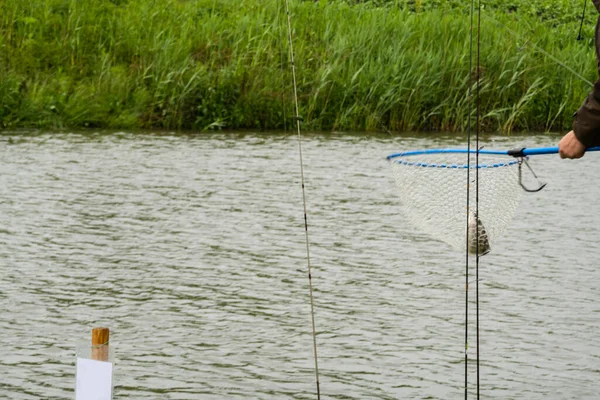 Gölde balık tutmak, şehrin dışında dinlenmek.