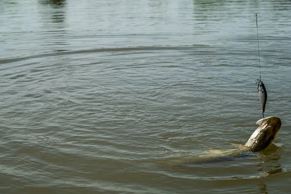 Pêche Sur Lac Contexte Pêche — Photo