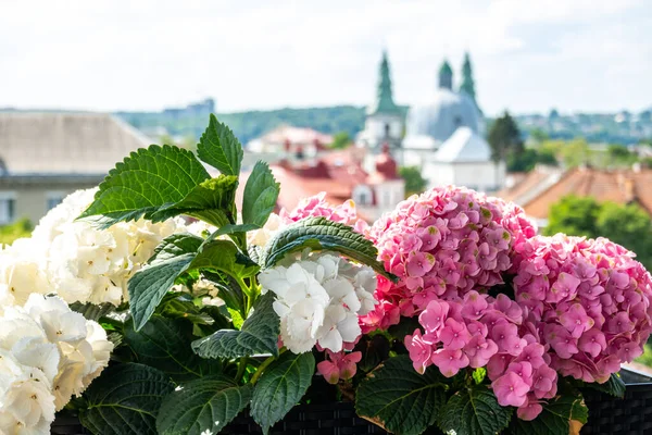 Die Wunderschöne Ukrainische Stadt Ternopil Straße Von Ternopil — Stockfoto