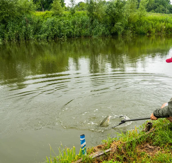 Pesca Lago Descanso Fuera Ciudad — Foto de Stock