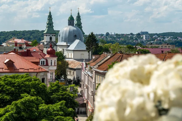 Красиве Українське Місто Тернопіль Вулиці Тернополя — стокове фото