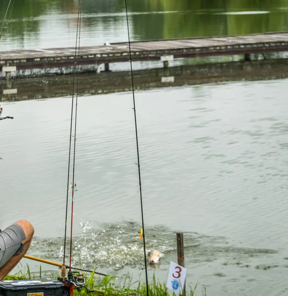 Halászat Tavon Pihenés Városon Kívül — Stock Fotó