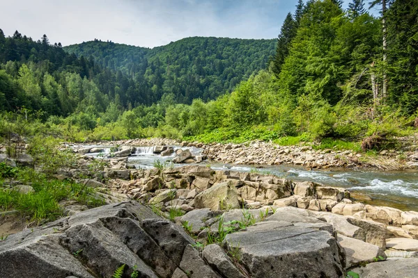 Muhteşem dağ nehri. Büyüleyici bir doğa.