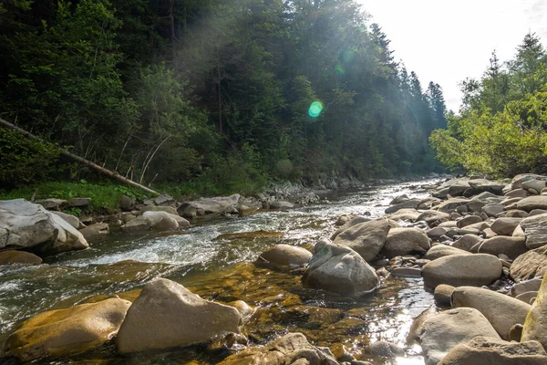 Magnifique Rivière Montagne Superbe Nature — Photo