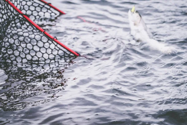 Pesca Sul Lago Fondo Pesca — Foto Stock