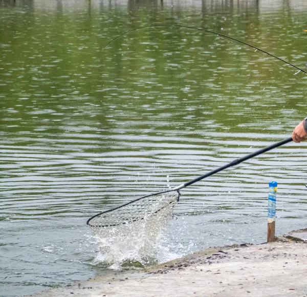 Vissen Het Meer Rusten Buiten Stad — Stockfoto