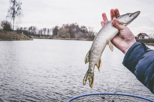 Pêche Sur Lac Contexte Pêche — Photo