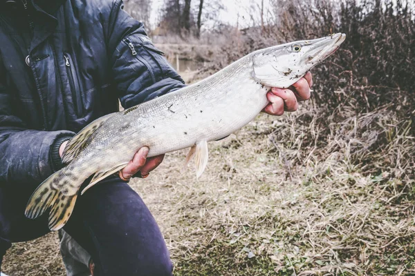 Pesca Sul Lago Fondo Pesca — Foto Stock