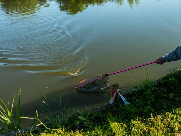 Pesca Lago Descanso Fuera Ciudad —  Fotos de Stock