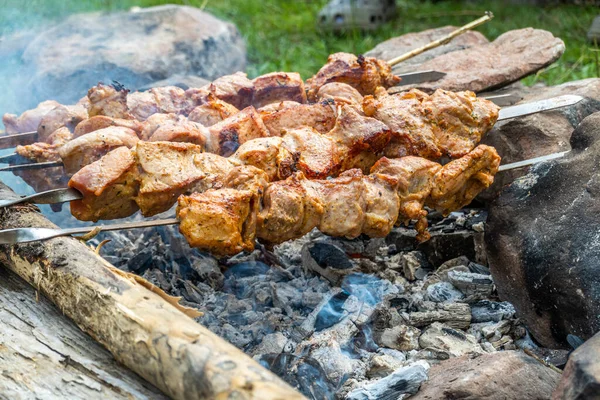 Shish Kebab Grill Food Background — Stock Photo, Image