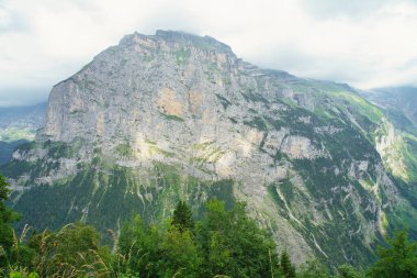 Sarmal nehri, yeşil çayırlar, ormanlar ve dağlarla çevrili küçük İsviçre köyleri olan manzaralı bir dağlık vadi..