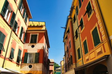 Renkli yüzlü, yeşil panjurlu ve açık mavi gökyüzünün altında çiçek açan çiçeklerle süslenmiş büyüleyici İtalyan evi..