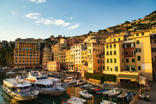 Colorful seaside town with boats in the harbor illuminated by golden sunset light in Italy.