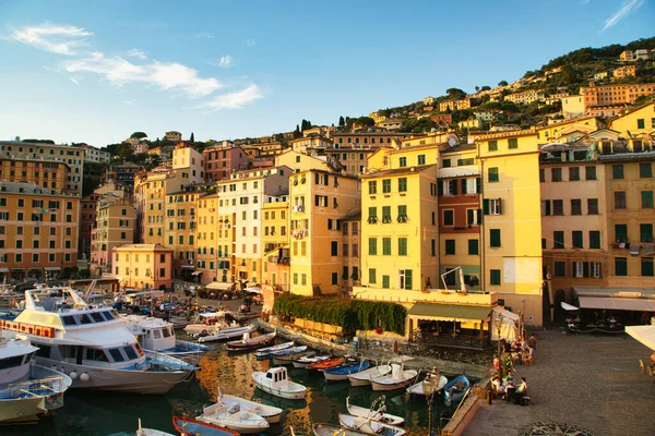 Colorful seaside town with boats in the harbor illuminated by golden sunset light in Italy.