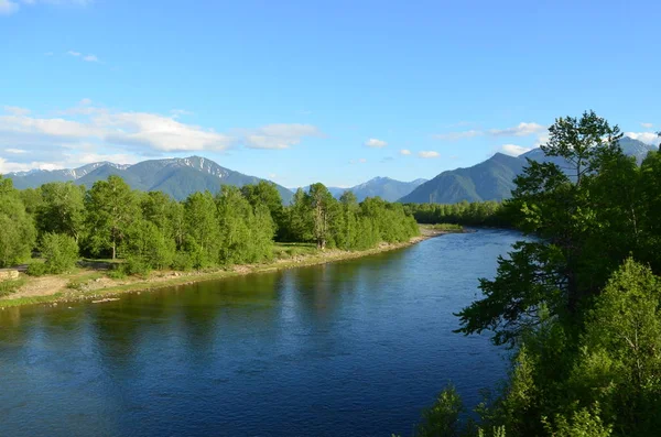 Lit Rivière Forêt Montagnes — Photo