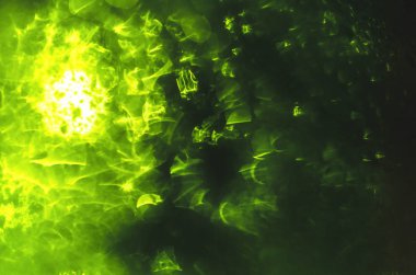 Uzay yeşili gibi pencerede soyut yoğuşma türleri