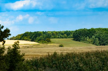 Tarlalar ve orman kemerleri köyünde uzak manzaralar