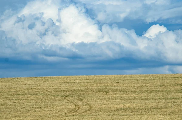 フィールドを持つ地平線上の大きな雲 — ストック写真