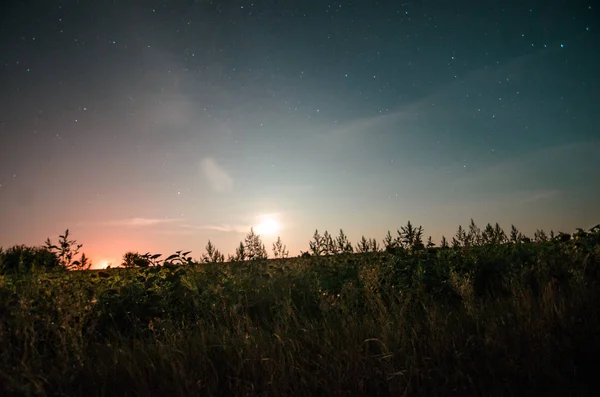 Луна Над Горизонтом Подсолнухов Яркое Ночное Небо — стоковое фото