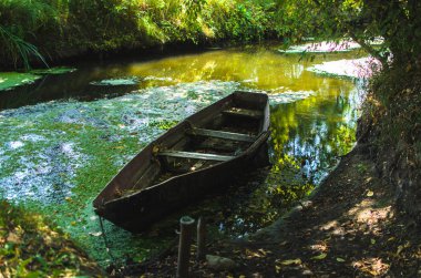 Bataklıkta eski tekne