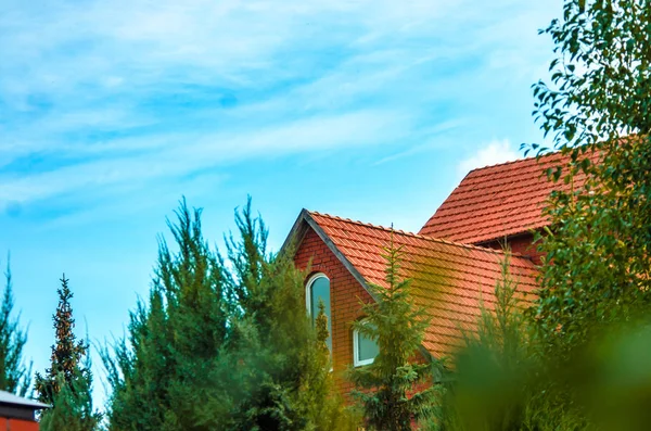 Schönes Dach Eines Reichen Dorfhauses Mit Bäumen — Stockfoto