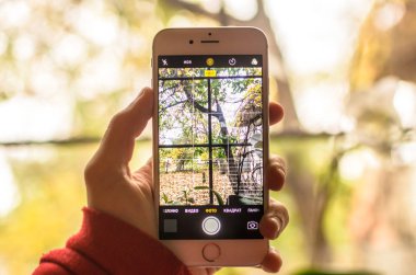 Akıllı telefonların kamerasında parlak ve yumuşak bir sonbahar.