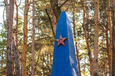 Çam ormanında bir yıldızla anıt