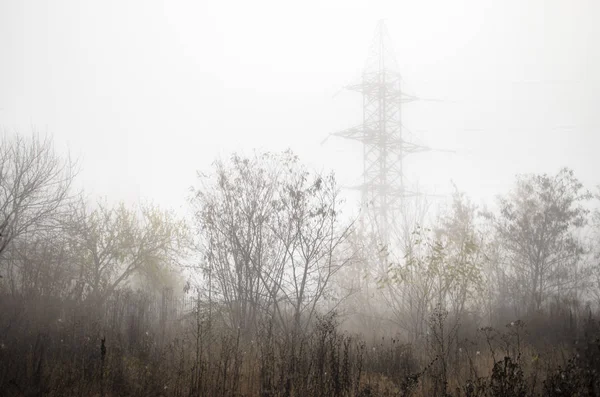 Electric tower in the fog and in the field