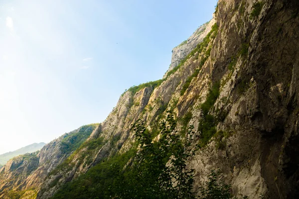 黑山美丽的山脉和峡谷 欧洲的巴尔干半岛 绿林葱郁的岩石山脉 以及形成峡谷的河流 你的桌面上的风景 — 图库照片