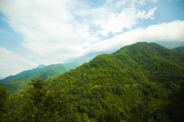 Avrupa 'daki Karadağ dağlarını gezmek, doğa ve ormanların olduğu güzel manzaralar, boş yüksek kaliteli yollar, yaz turizmi