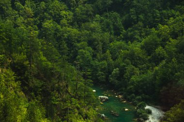 Avrupa 'daki Karadağ dağlarını gezmek, doğa ve ormanların olduğu güzel manzaralar, boş yüksek kaliteli yollar, yaz turizmi