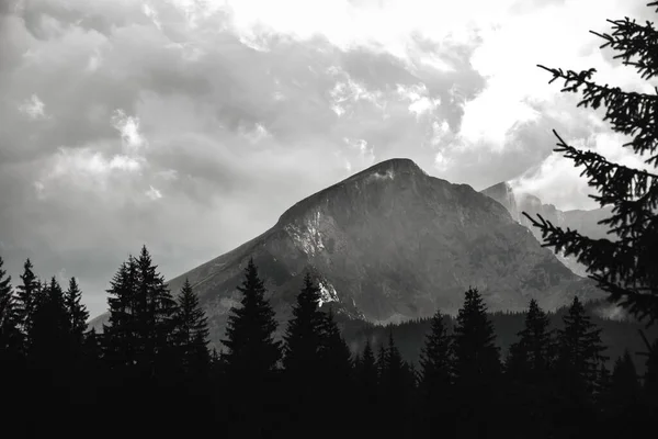 Montenegro Natura Viaggi Sfondo Europa Foresta Dopo Pioggia Montagna — Foto Stock