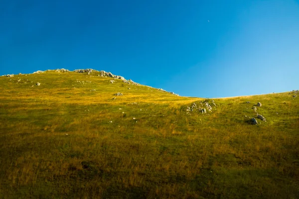 Canyon Montenegro Fundo Viagem Natureza Florestas Montanhismo Europa — Fotografia de Stock