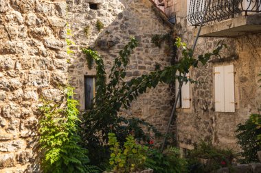 Eski Budva kasabasında rahat bir köşe, mongol.,