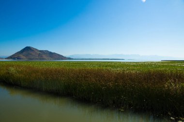 Skadar Gölü Ulusal Parkı, sudaki zambaklar ve su zambakları, parlak güneşli bir gün ve dağlı güzel manzaralar, tekne ve tekne gezisi, Karadağ 'ın doğa ve kuşları, turizm ve seyahat