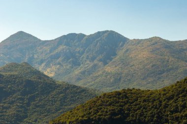 Skadar Gölü Ulusal Parkı, sudaki zambaklar ve su zambakları, parlak güneşli bir gün ve dağlı güzel manzaralar, tekne ve tekne gezisi, Karadağ 'ın doğa ve kuşları, turizm ve seyahat