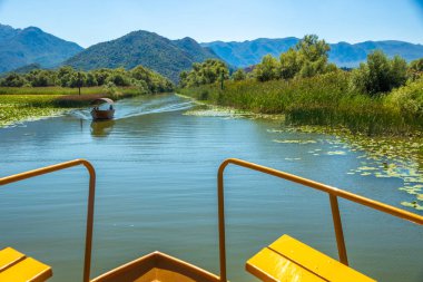 Skadar Gölü Ulusal Parkı, sudaki zambaklar ve su zambakları, parlak güneşli bir gün ve dağlı güzel manzaralar, tekne ve tekne gezisi, Karadağ 'ın doğa ve kuşları, turizm ve seyahat