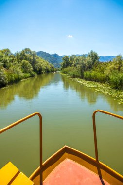 Skadar Gölü Ulusal Parkı, sudaki zambaklar ve su zambakları, parlak güneşli bir gün ve dağlı güzel manzaralar, tekne ve tekne gezisi, Karadağ 'ın doğa ve kuşları, turizm ve seyahat