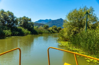 Skadar Gölü Ulusal Parkı, sudaki zambaklar ve su zambakları, parlak güneşli bir gün ve dağlı güzel manzaralar, tekne ve tekne gezisi, Karadağ 'ın doğa ve kuşları, turizm ve seyahat