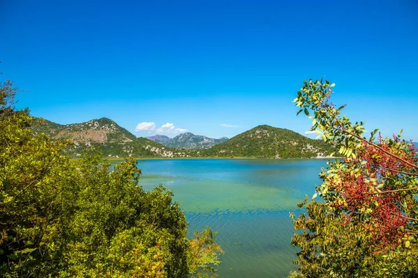 Skadar Gölü Ulusal Parkı, sudaki zambaklar ve su zambakları, parlak güneşli bir gün ve dağlı güzel manzaralar, tekne ve tekne gezisi, Karadağ 'ın doğa ve kuşları, turizm ve seyahat