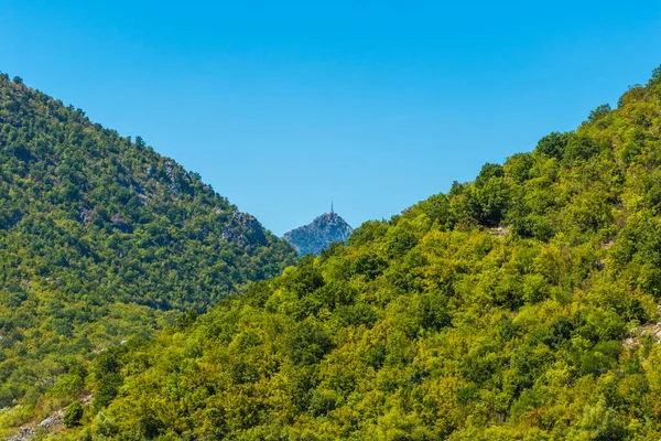 Parque Nacional Del Lago Skadar Lirios Lirios Agua Agua Día —  Fotos de Stock