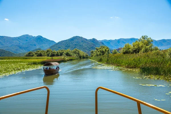 Skadar Gölü Ulusal Parkı, sudaki zambaklar ve su zambakları, parlak güneşli bir gün ve dağlı güzel manzaralar, tekne ve tekne gezisi, Karadağ 'ın doğa ve kuşları, turizm ve seyahat