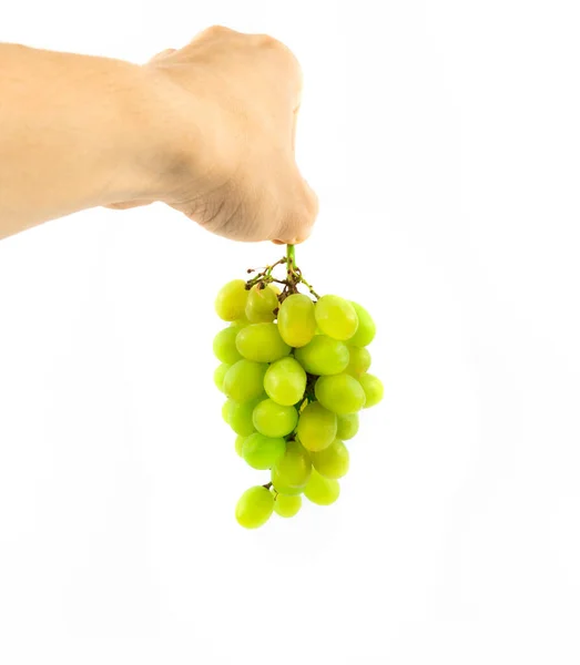 新鲜的绿色葡萄 与白种人隔离 — 图库照片
