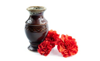 İzole bir arka planda vazoda yeşil bir bitki..