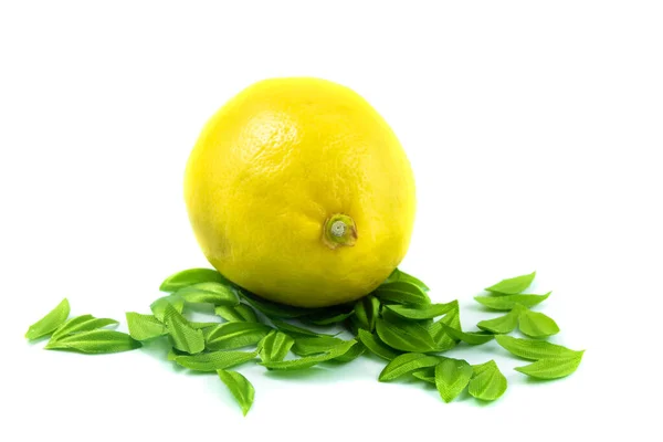 Stilleven Van Fruit Wijn Geïsoleerd Witte Achtergrond — Stockfoto