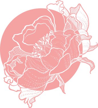 Basit Vektör Klip Snony Çiçek görüntü