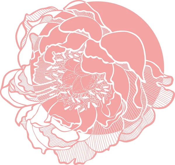 Imagen simple del clip del vector Art Peony Flower — Archivo Imágenes Vectoriales