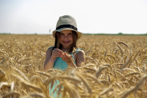 Little girl on a gold wheat field — Stock Photo, Image