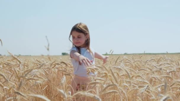Klein meisje op een goudkorenveld — Stockvideo
