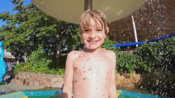 Diversão feliz amoroso bo saltar e mergulhar na piscina — Vídeo de Stock